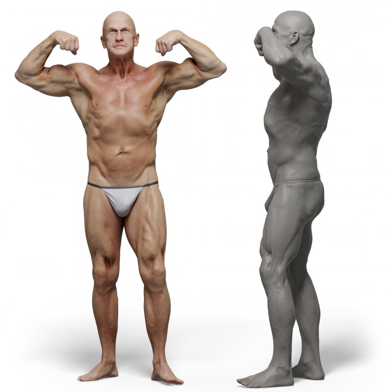 Male anatomy reference 3d model 