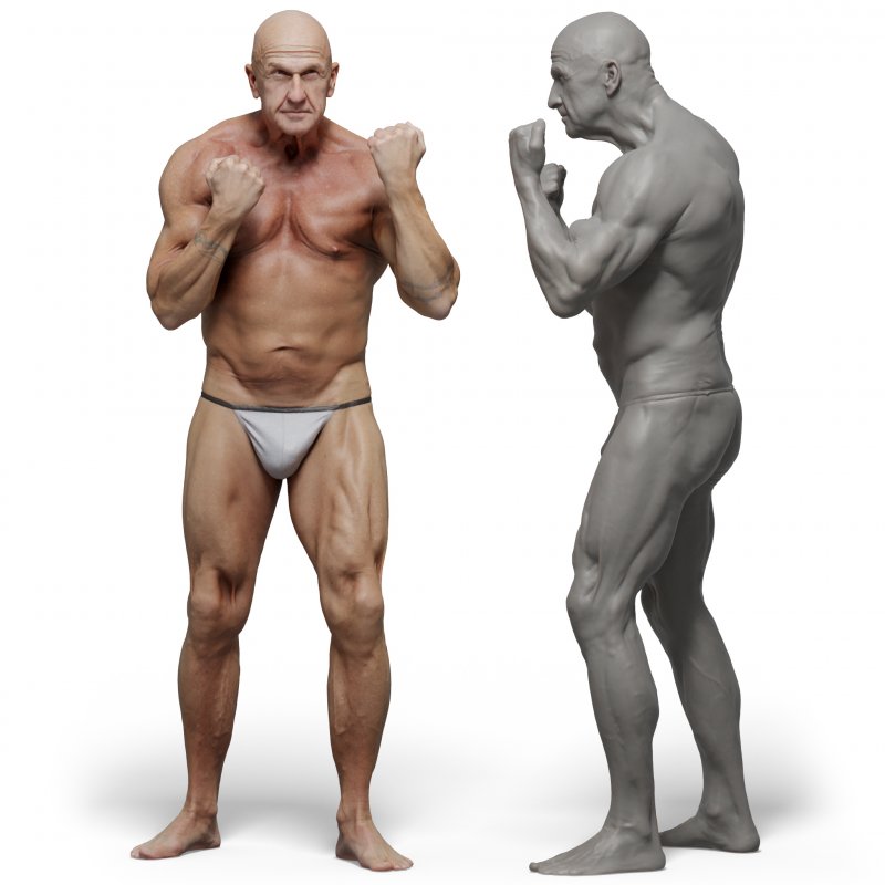 Male anatomy reference 3d model 