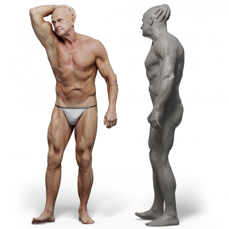 Male anatomy reference 3d model 