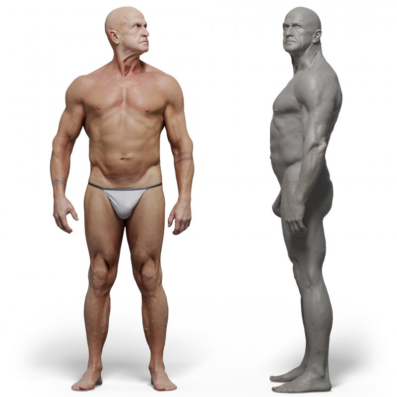 Male anatomy reference 3d model 