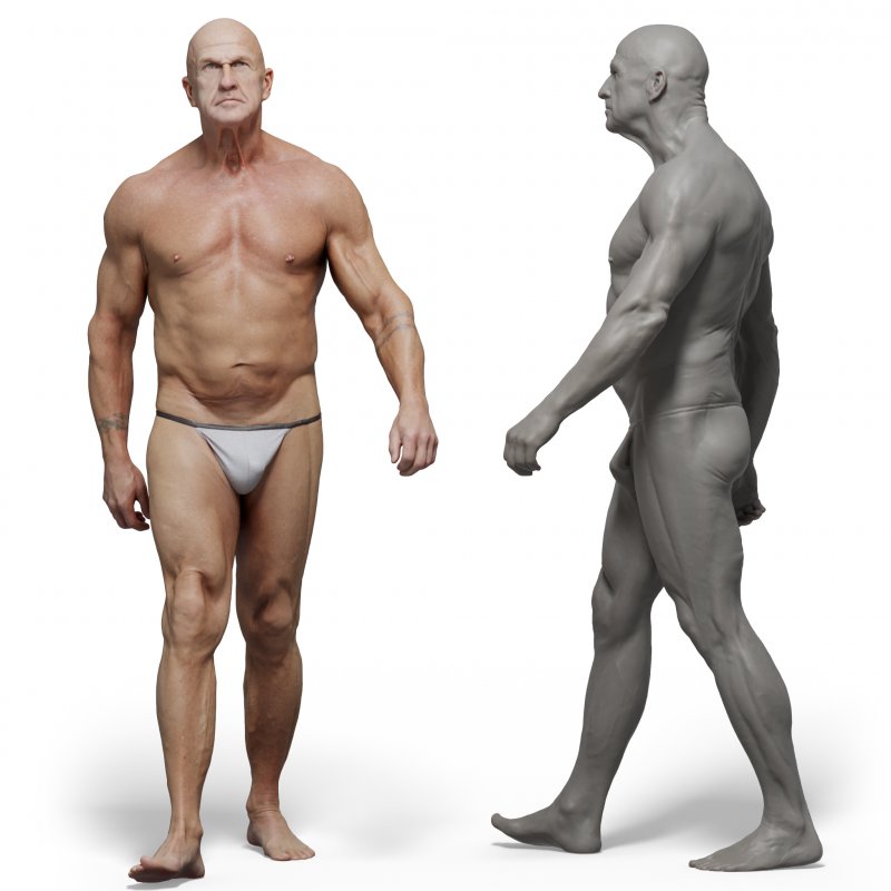 Male anatomy reference 3d model 