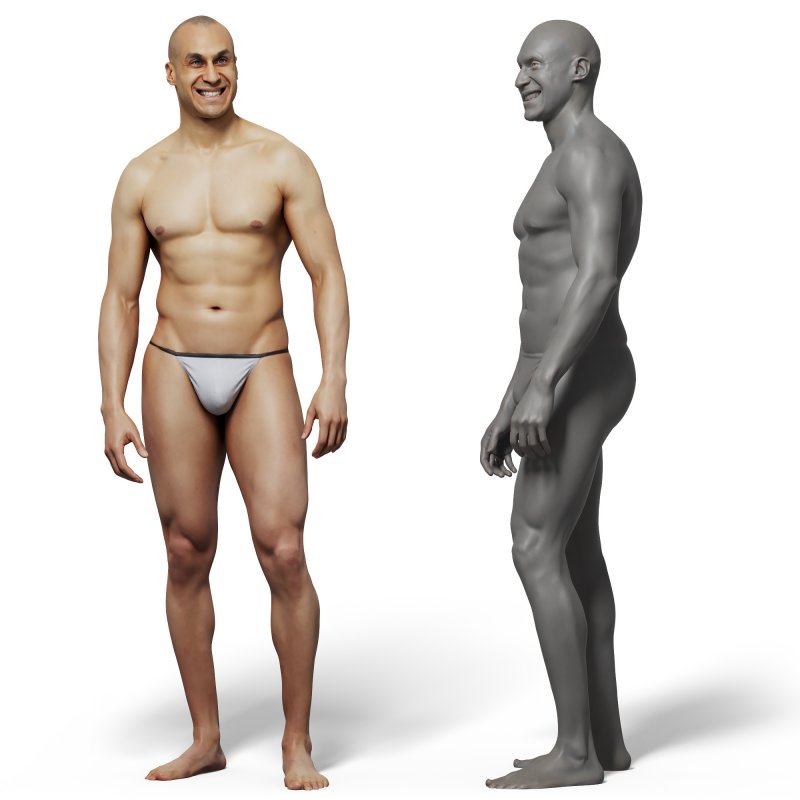 Male anatomy reference 3d model 