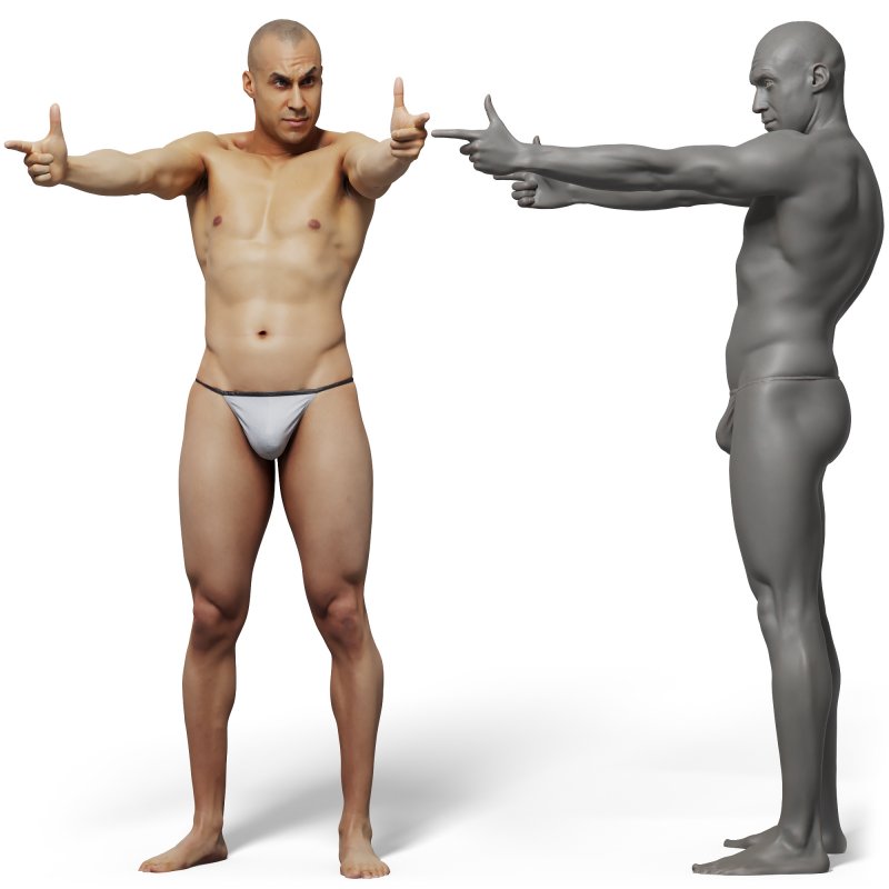 Male anatomy reference 3d model 