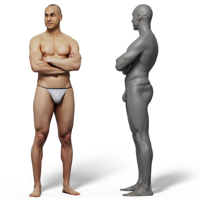 Male anatomy reference 3d model 