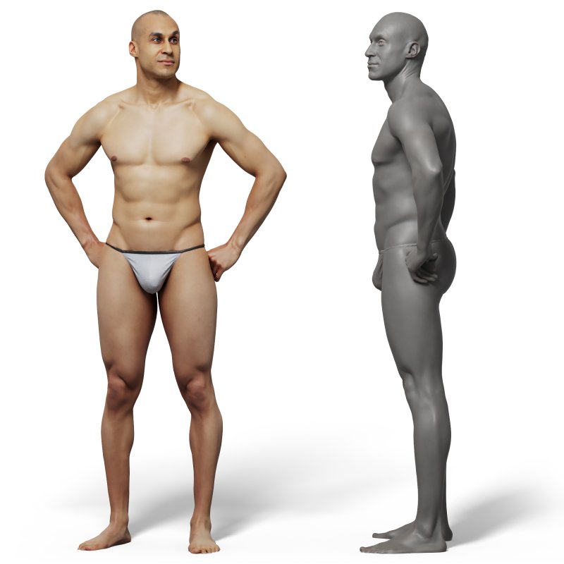 Male anatomy reference 3d model 