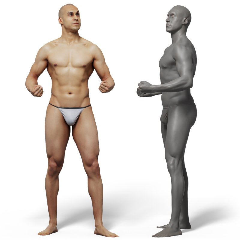 Male anatomy reference 3d model 