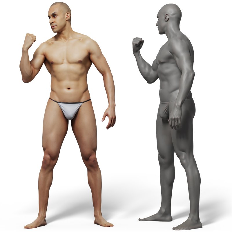 Male anatomy reference 3d model 