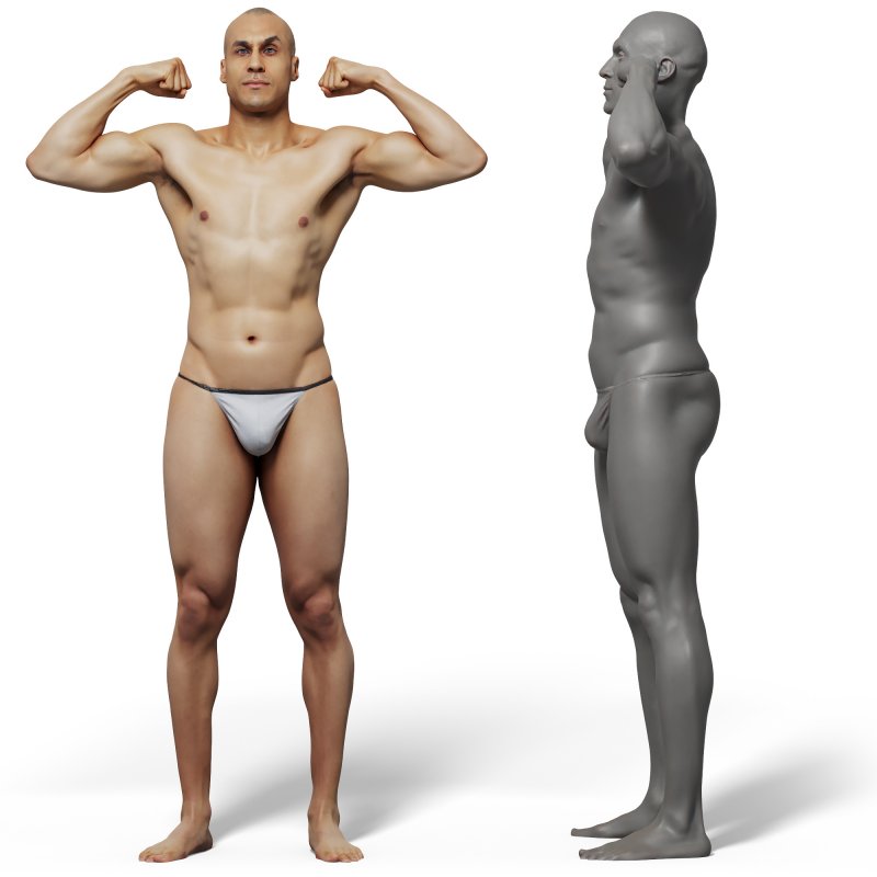 Male anatomy reference 3d model 