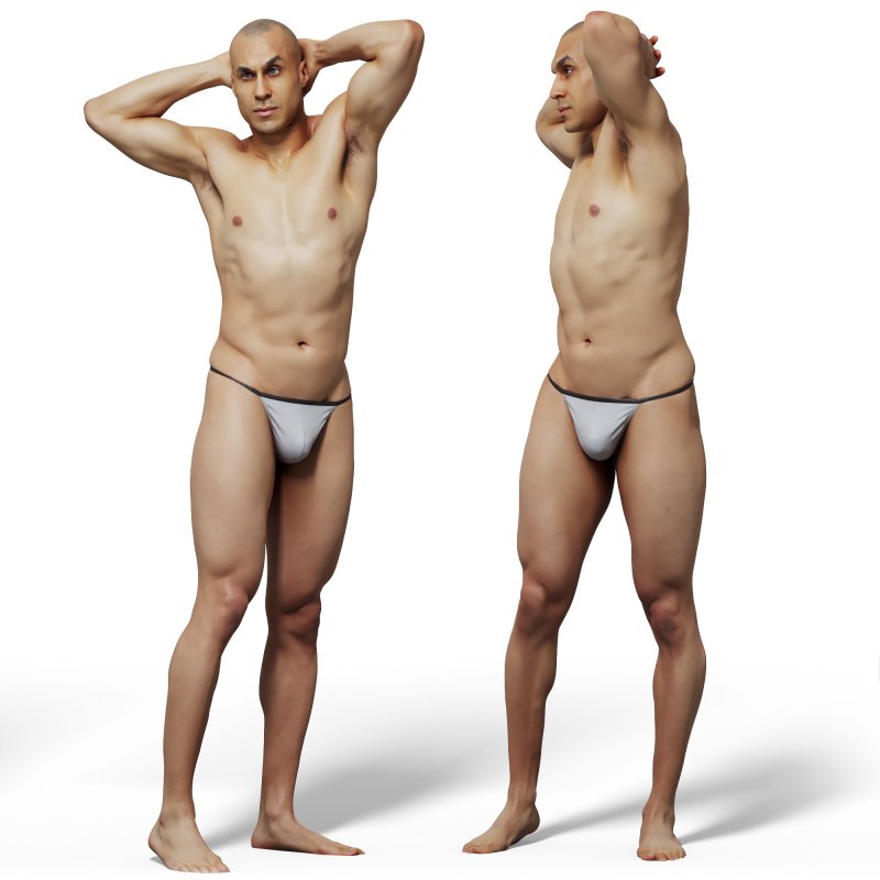 Male anatomy reference 3d model 