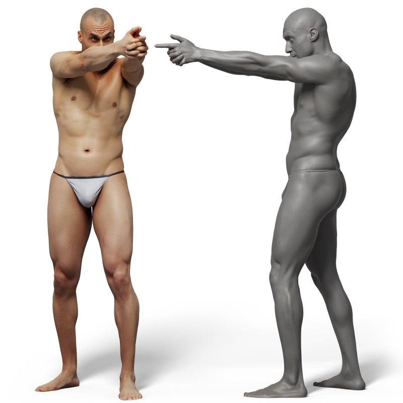 Male anatomy reference 3d model 