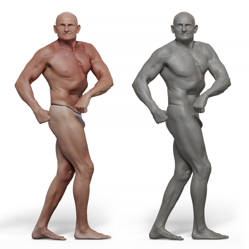 Male anatomy reference 3d model 