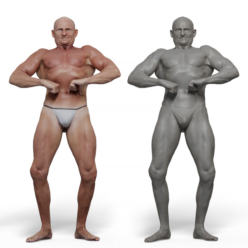 Male anatomy reference 3d model 