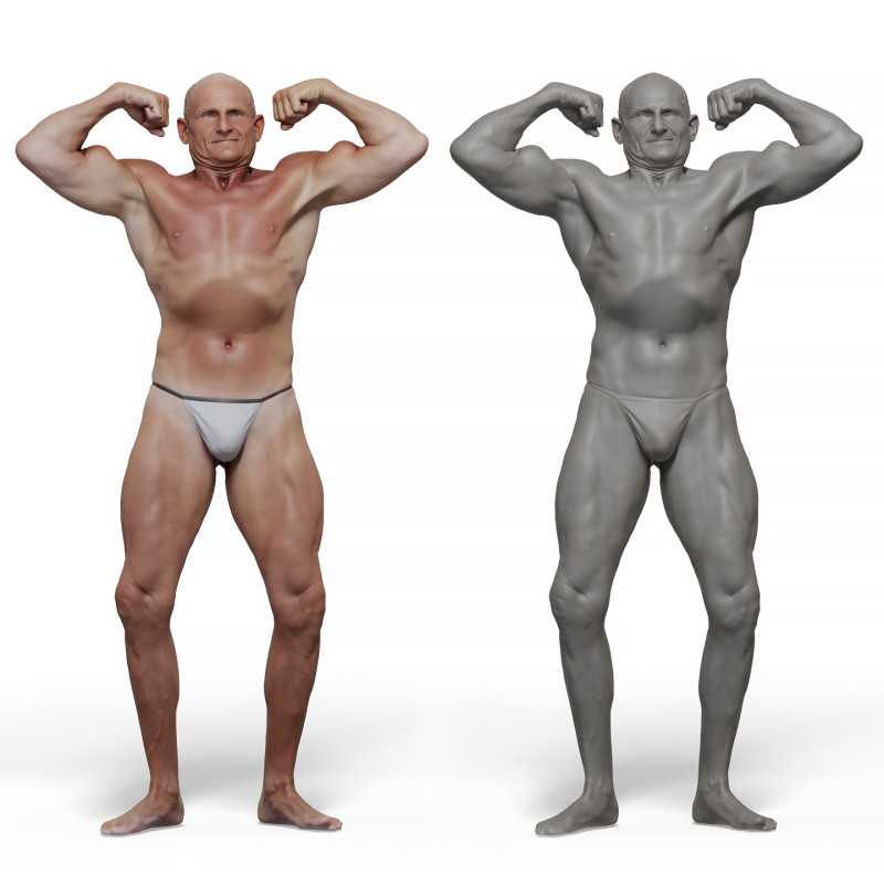 Male anatomy reference 3d model 