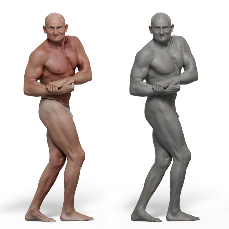 Male anatomy reference 3d model 