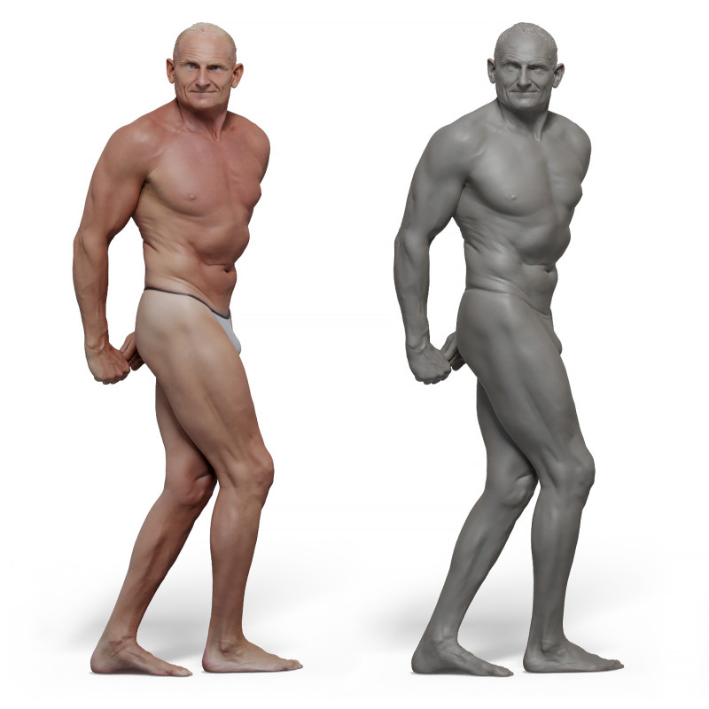 Male anatomy reference 3d model 