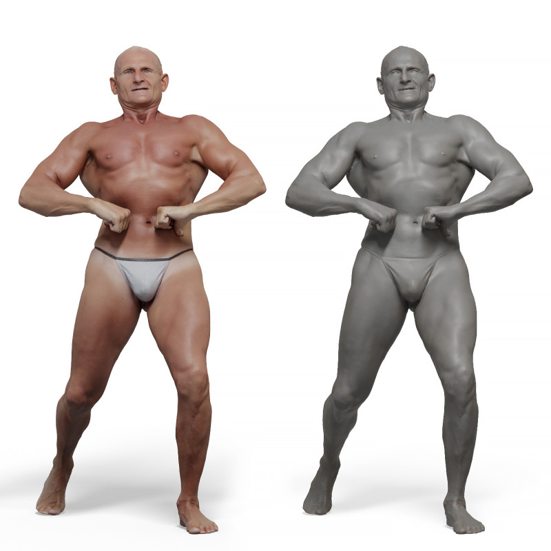 Male anatomy reference 3d model 