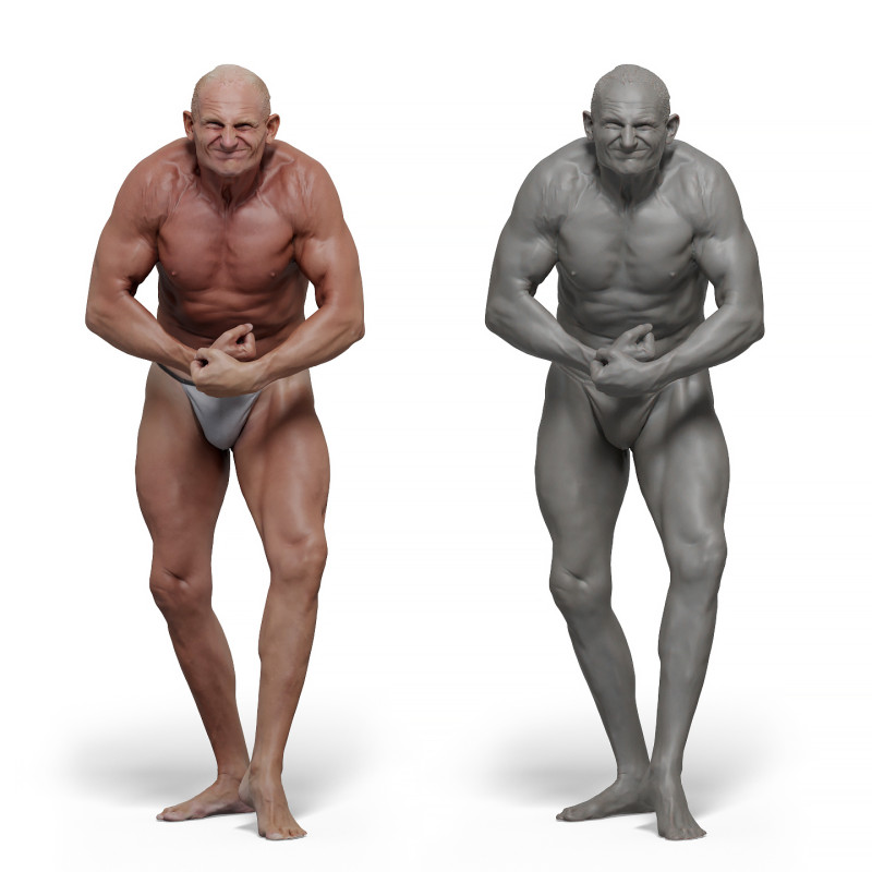 Male anatomy reference 3d model 