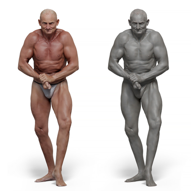 Male anatomy reference 3d model 