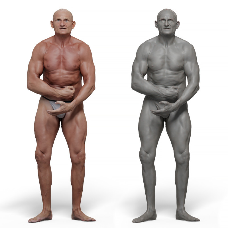 Male anatomy reference 3d model 