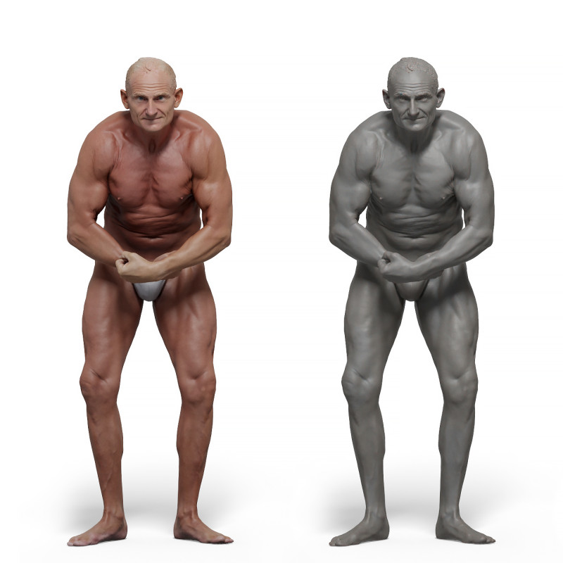 Male anatomy reference 3d model 