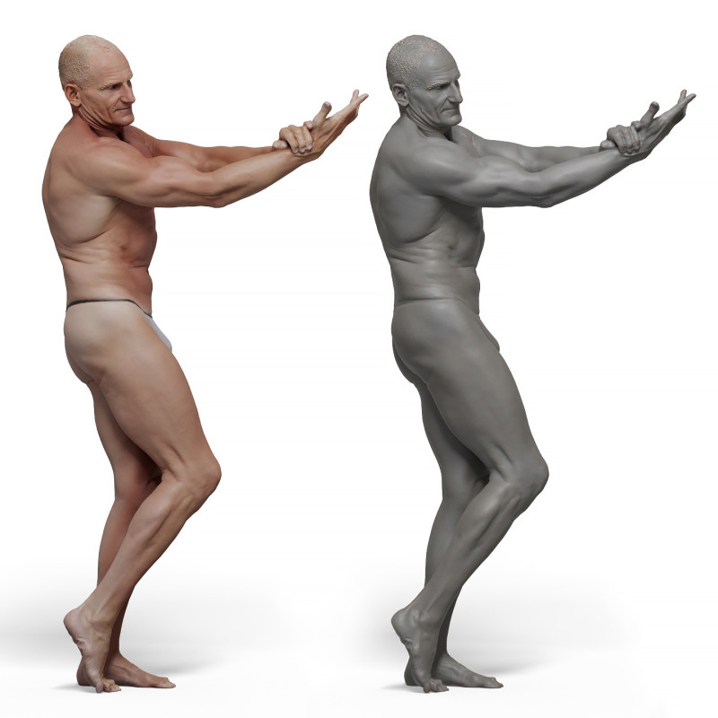 Male anatomy reference 3d model 