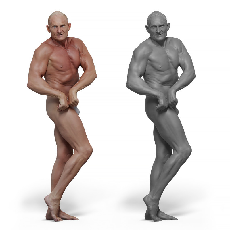 Male anatomy reference 3d model 