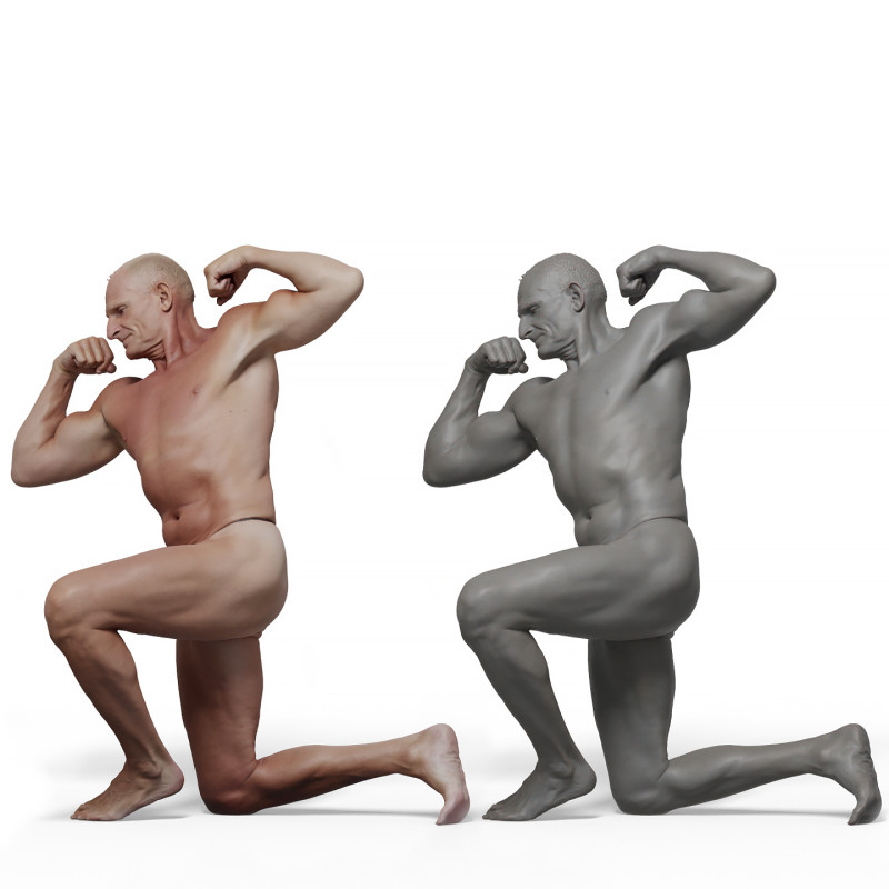 Male anatomy reference 3d model 