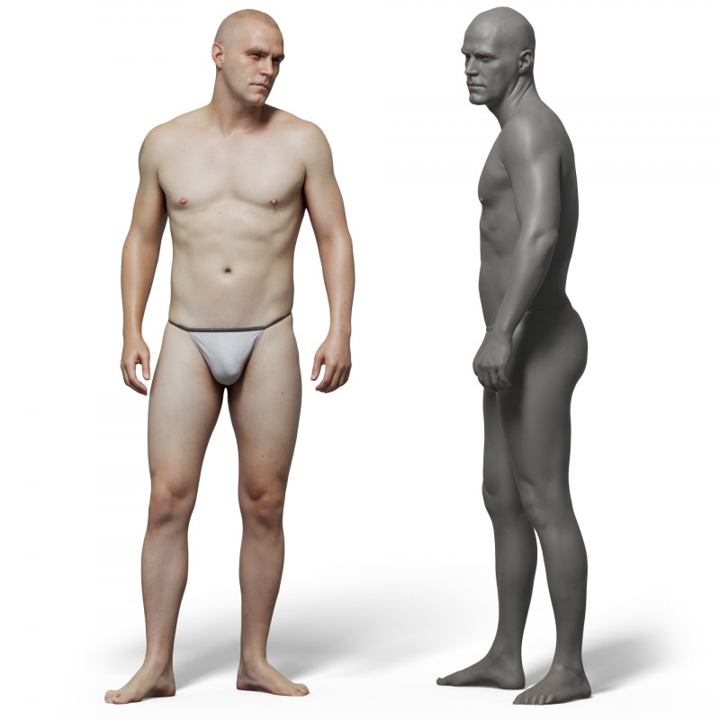 Male anatomy reference 3d model 