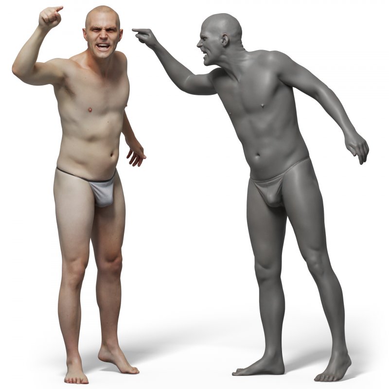 Male anatomy reference 3d model 