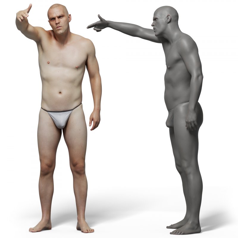 Male anatomy reference 3d model 