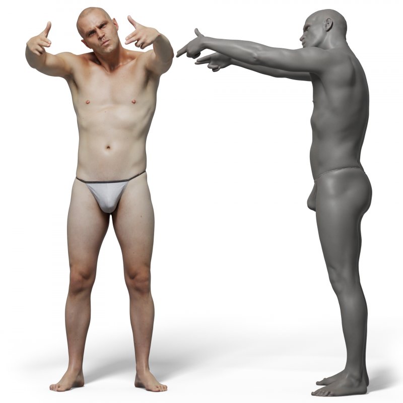 Male anatomy reference 3d model 