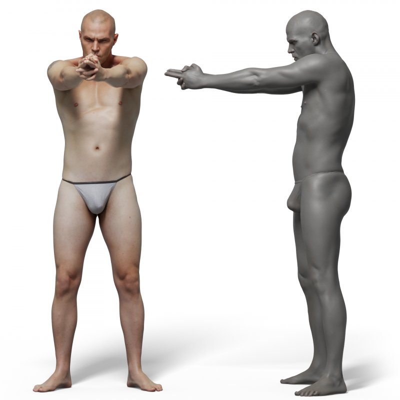 Male anatomy reference 3d model 