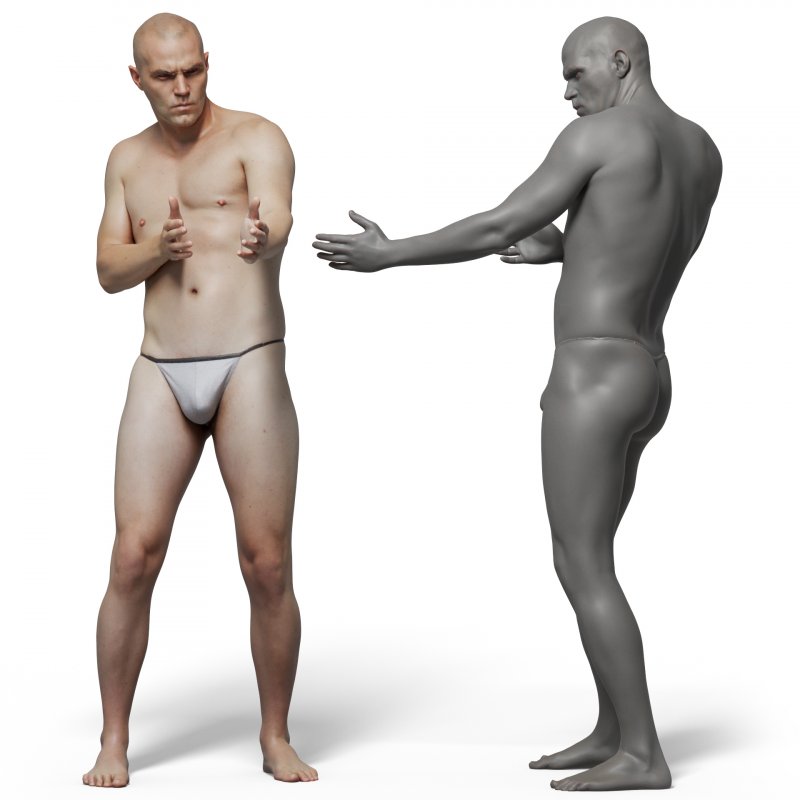 Male anatomy reference 3d model 