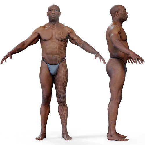 Animation Ready Body Scan / Male 01
