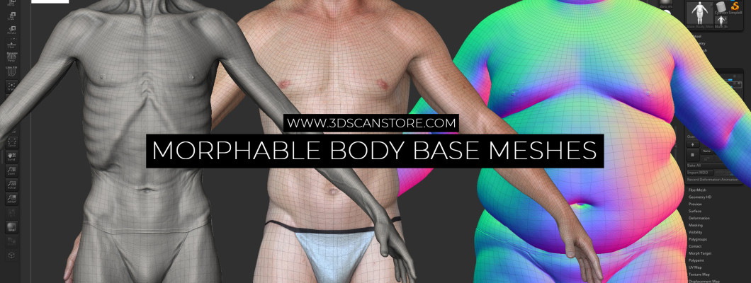 Morphable Male and Female Base Meshes Morphable Male and Female Base Meshes