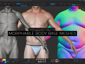 Morphable Male and Female Base Meshes