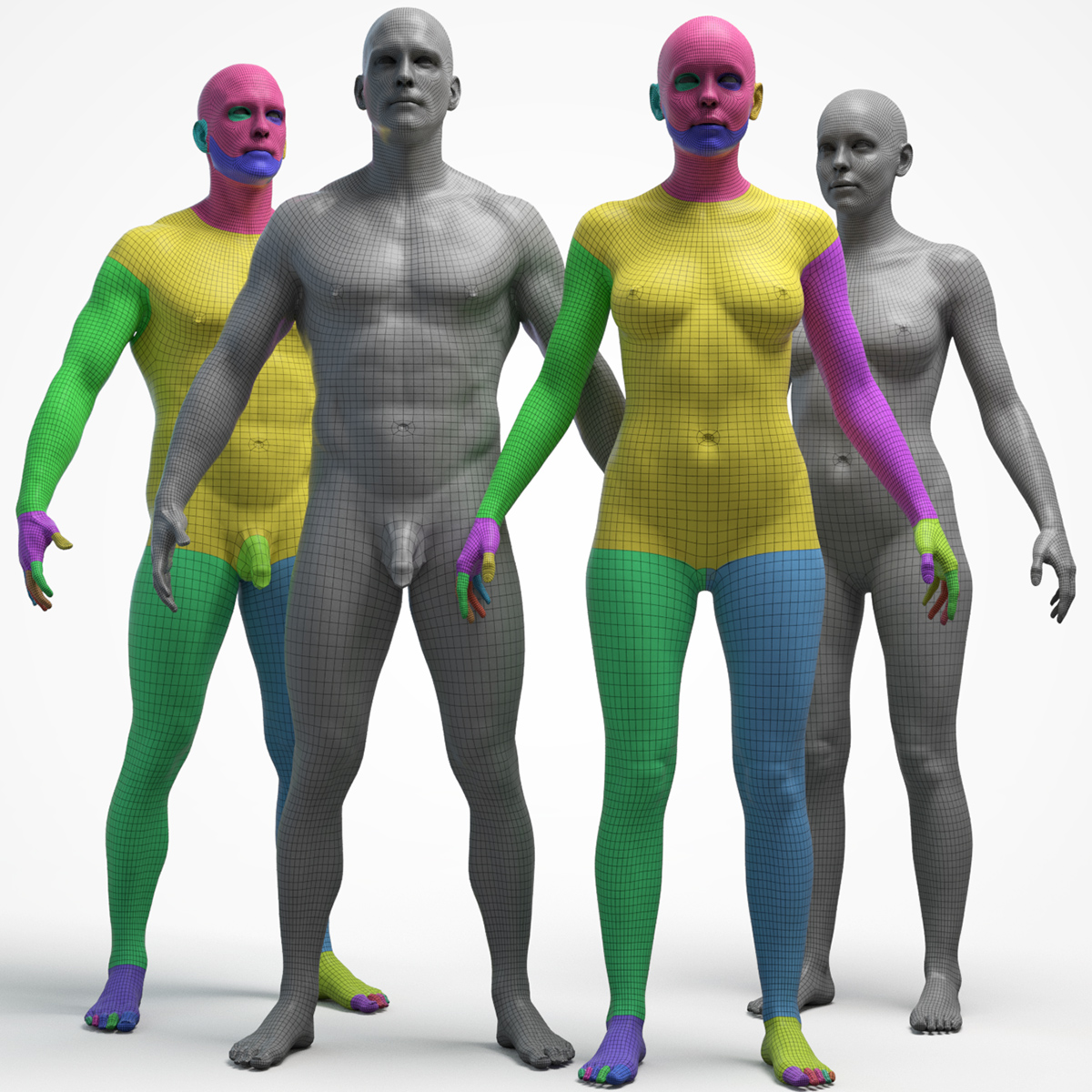 Ultimate Male|Female Base Mesh Bundle models Ultimate Male|Female Base Mesh Bundle models