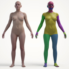 Ultimate Textured Female Base Mesh