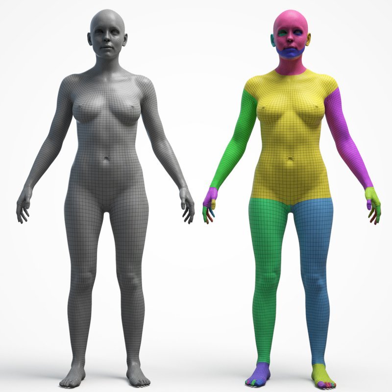 Ultimate Female Base Mesh