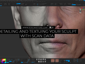 Detailing And Texturing Your Sculpt Using Scan Data