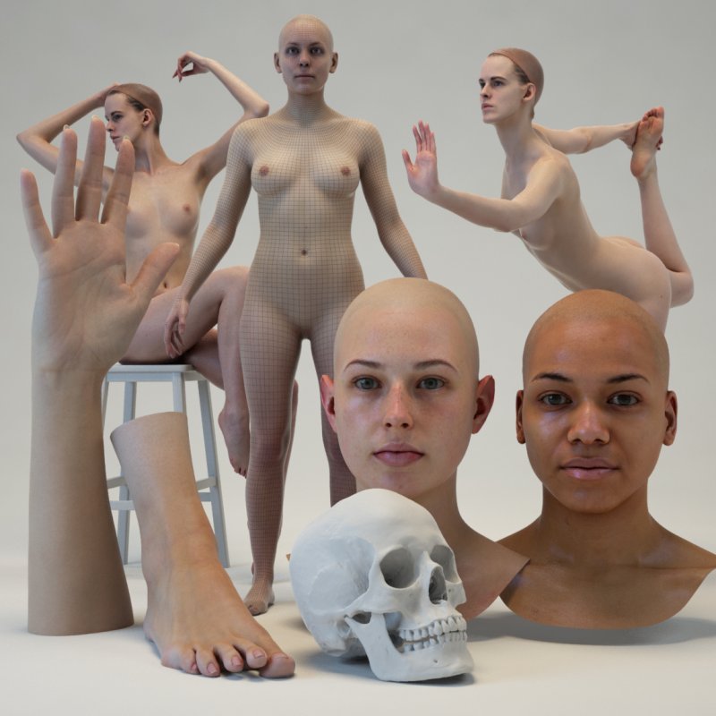 Female 3D body and head models