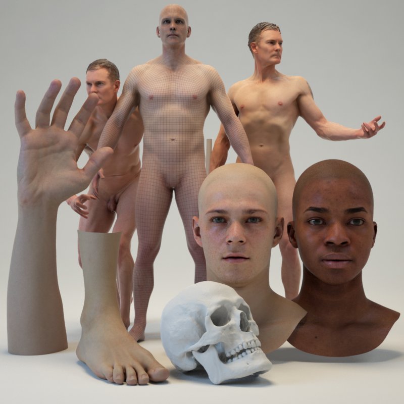 Male 3D Model Mega Bundle / 8 x Scans