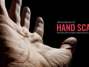Hand 3D Models