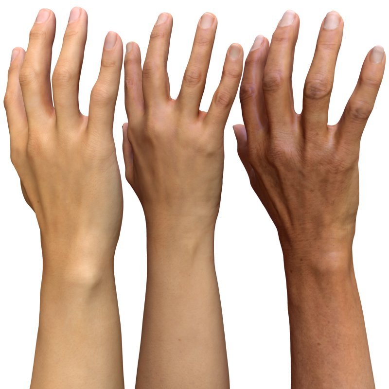 3 x Female 3D Hand Models / Asian 20/40/60 years old