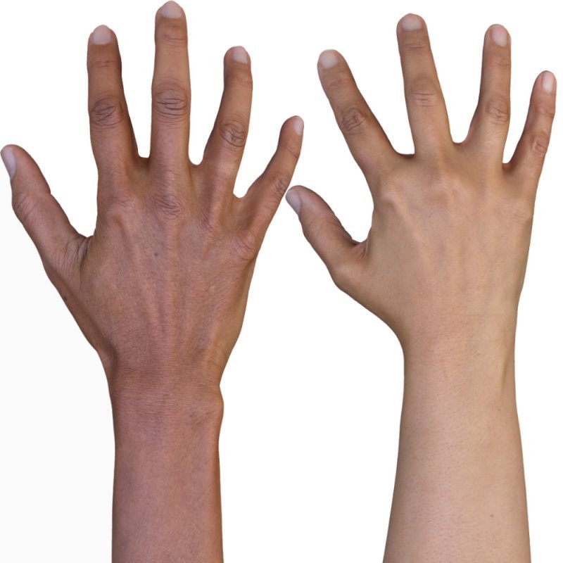 2 x Male And Female 3D Hand Models / Asian 40 Years Old