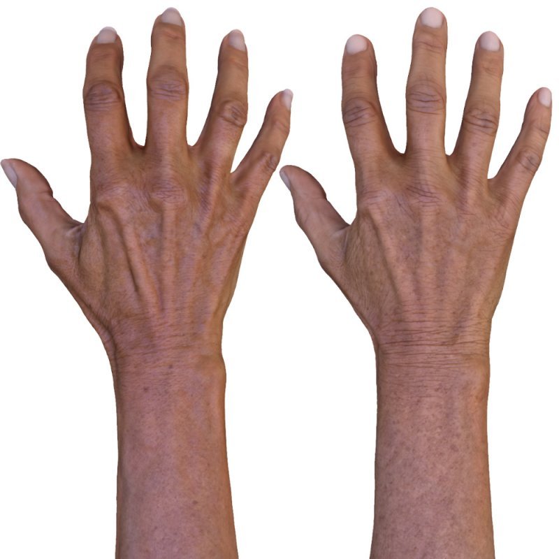 2 x Male And Female 3D Hand Models / Asian 60 Years Old