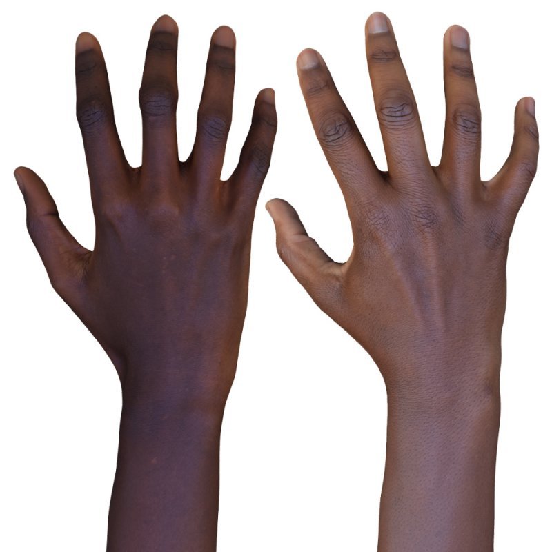  2 x Male And Female 3D Hand Models / Black 20 Years Old