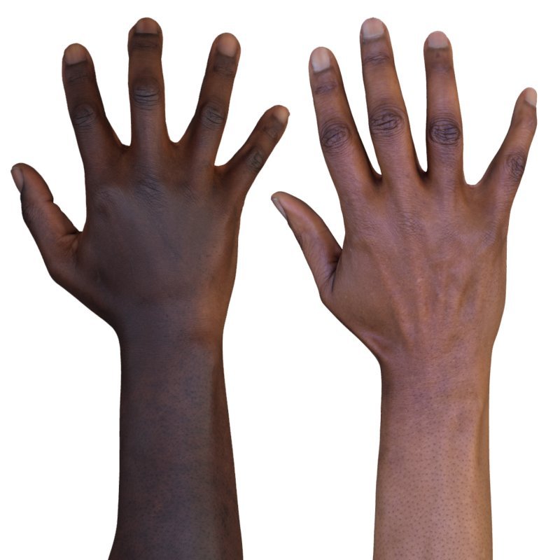  2 x Male And Female 3D Hand Models / Black 40 Years Old