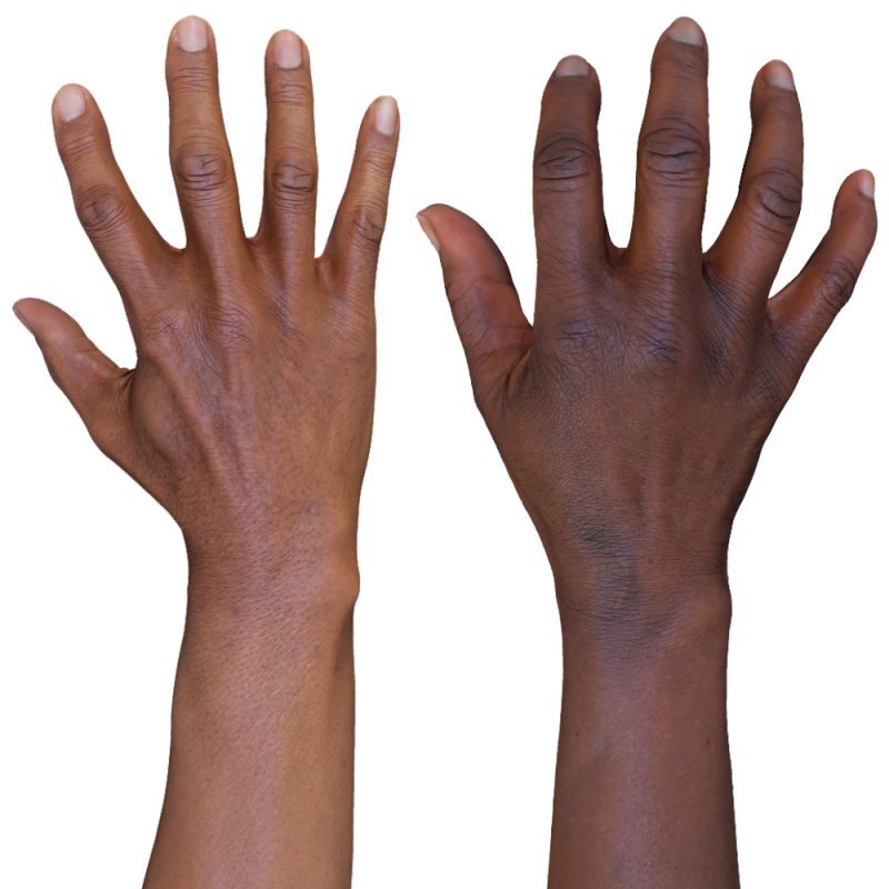 2 x Male And Female 3D Hand Models / Black 60 Years Old