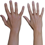 2 x Male And Female 3D Hand Models / White 20 Years Old